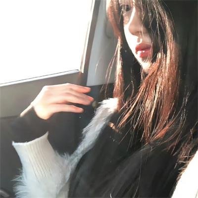 石纪元第四季